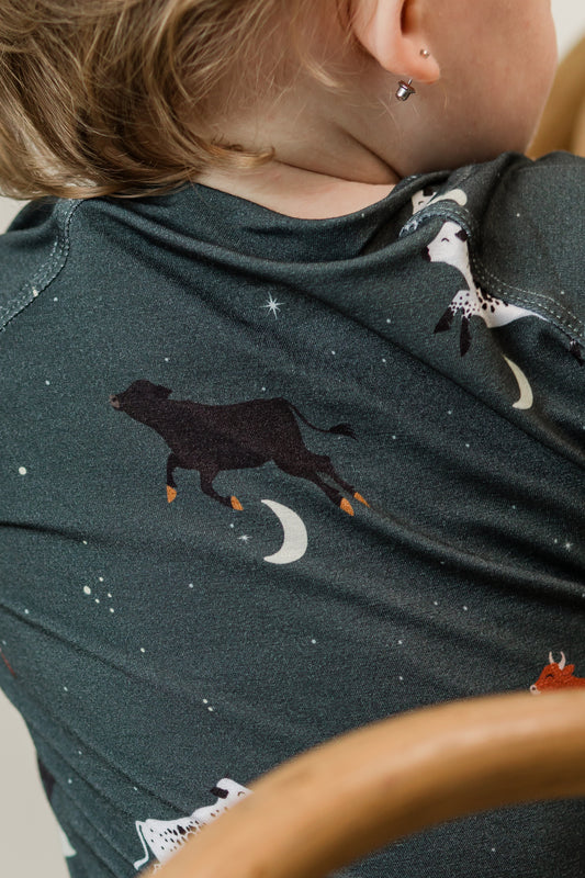 Zippy - Hey Diddle Diddle in Dusk